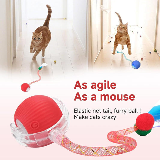 Smart Interactive Rolling Cat Ball Toy – USB Rechargeable Motion Activated Pet Toy for Indoor Cats