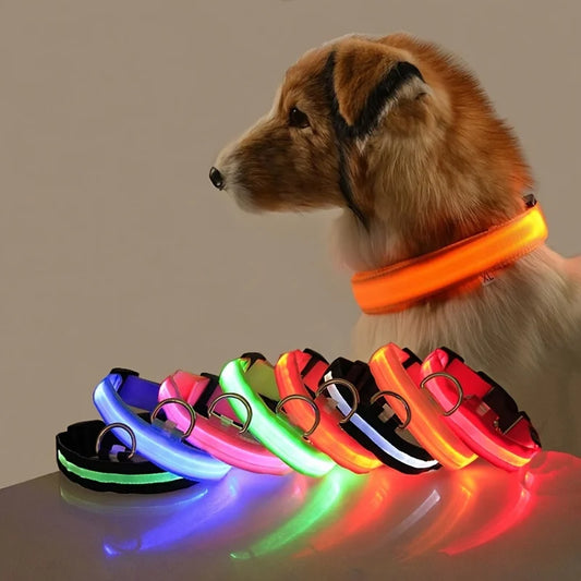 LED Glow-in-the-Dark Dog Leash – Reflective Nylon Safety Leash for Night Walks and Outdoor