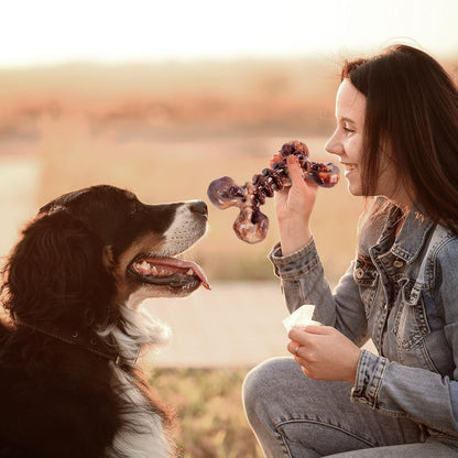 6-Pack Heavy Duty Nylon Dog Chew Toys for Medium Large Dogs, Bacon Flavor, Pure Nylon for Aggressive Chewers, Reduces Boredom, Varied Shapes, Designed for 25-80 Lbs Breed Sizes