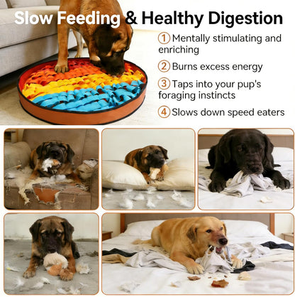 Interactive Snuffle Mat for Dogs – Slow Feeder & Treat Puzzle Mat for Mental Stimulation and Stress Relief