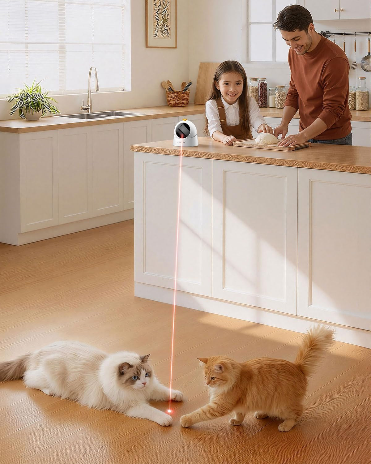 ROJECO Automatic Laser Cat Toy | 360° Interactive Trajectory | USB Rechargeable | Auto Shut-Off | Indoor Cat Exercise Toy