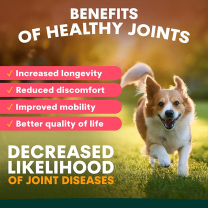 Dog Joint Supplement Soft Chews – Glucosamine, Chondroitin & Hemp Support for Hip and Joint Health