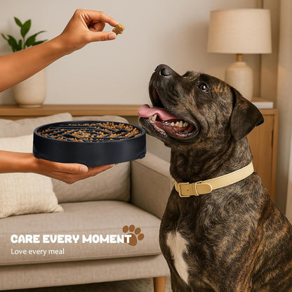 Slow Feeder Dog Bowl – Interactive Maze Feeding Bowl for Healthy Digestion and Anti-Gulping