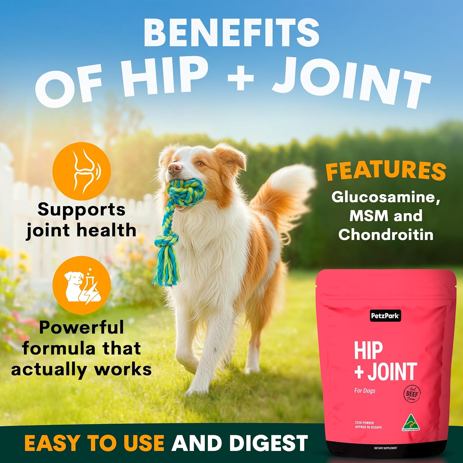 Dog Joint Supplement Soft Chews – Glucosamine, Chondroitin & Hemp Support for Hip and Joint Health