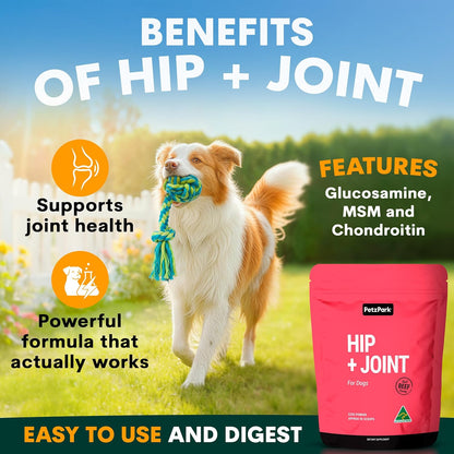 Dog Joint Supplement Soft Chews – Glucosamine, Chondroitin & Hemp Support for Hip and Joint Health
