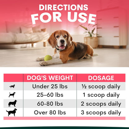Dog Joint Supplement Soft Chews – Glucosamine, Chondroitin & Hemp Support for Hip and Joint Health