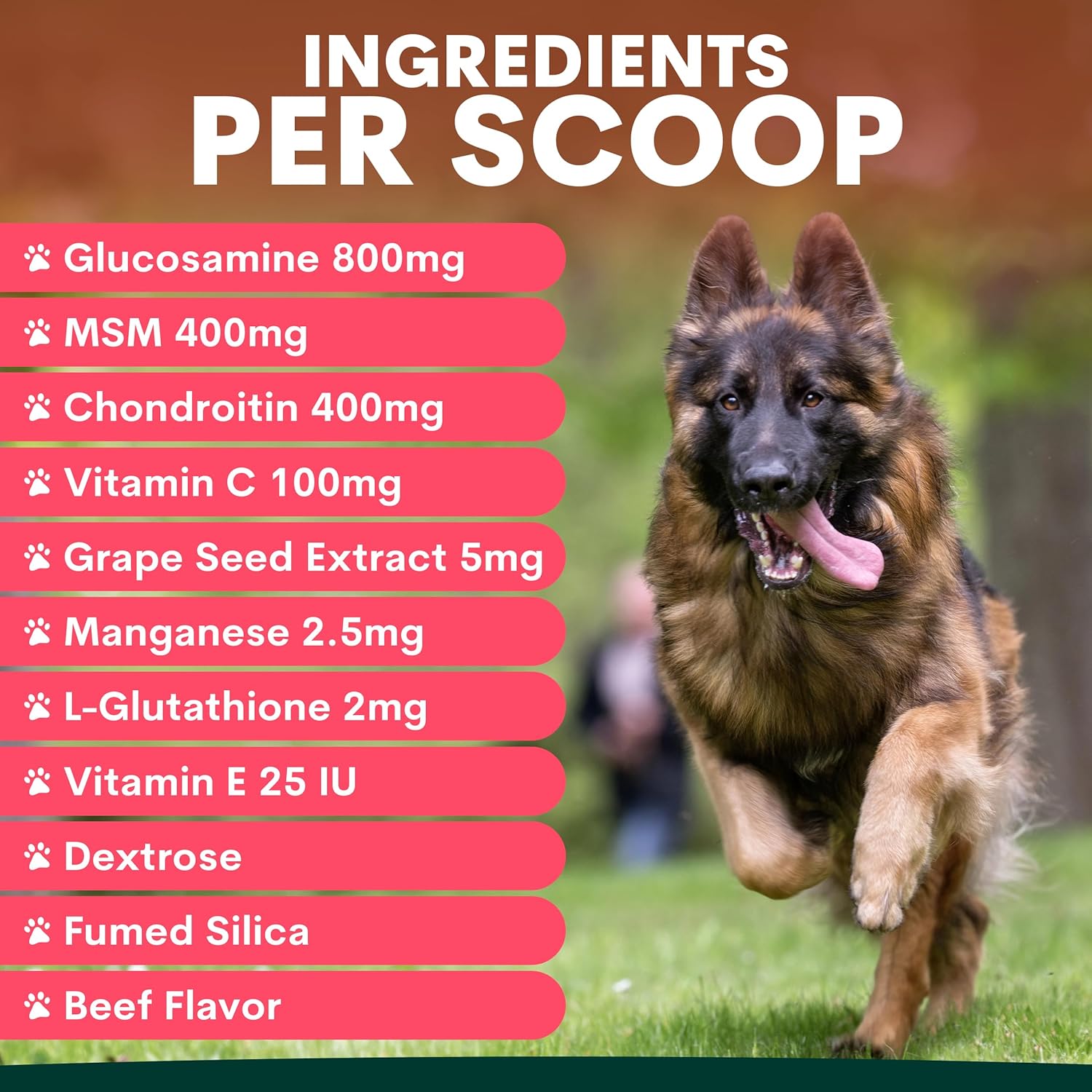 Dog Joint Supplement Soft Chews – Glucosamine, Chondroitin & Hemp Support for Hip and Joint Health