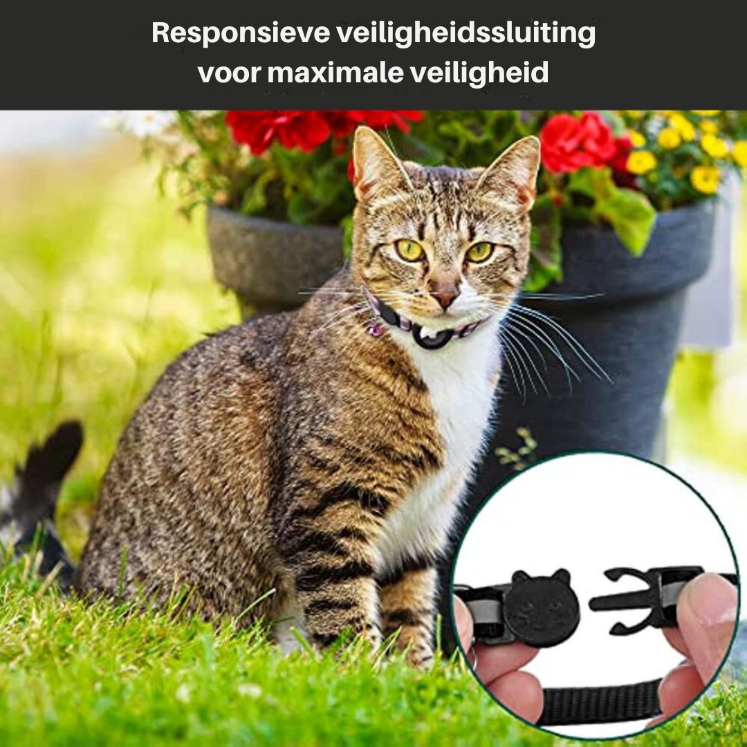 PS Tracking Cat Collar – Reflective Safety Collar with Quick-Release Buckle for Cats