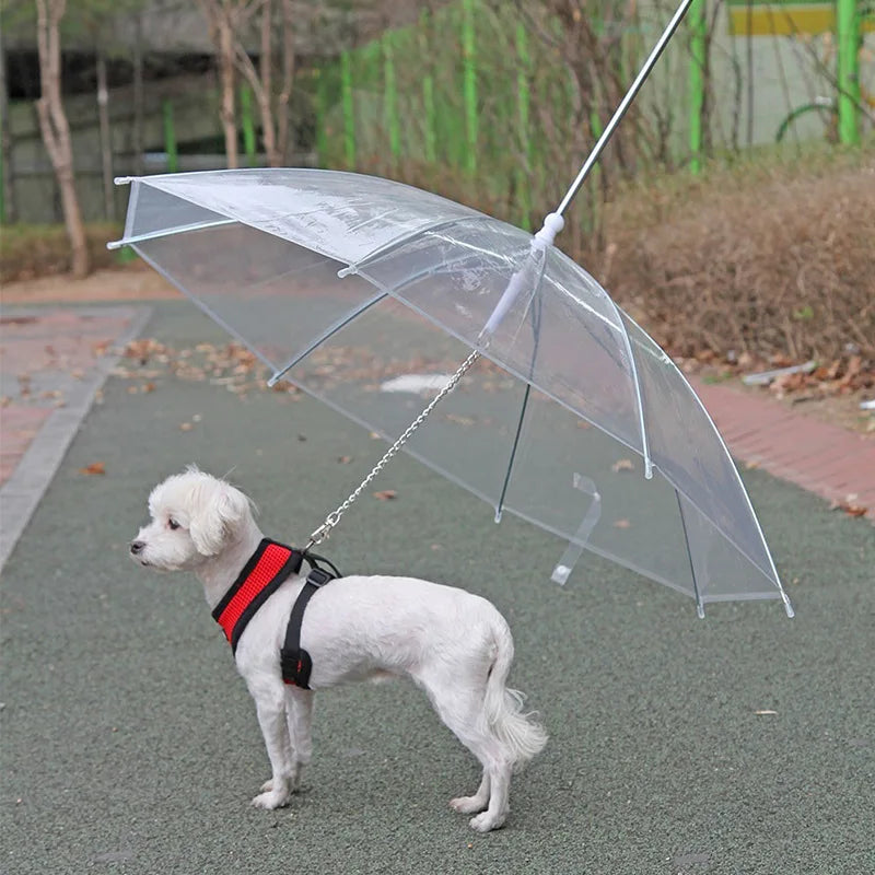 Pet Umbrella Leash – Adjustable Rainproof Dog Umbrella for Small Dogs and Rainy Weather Walks
