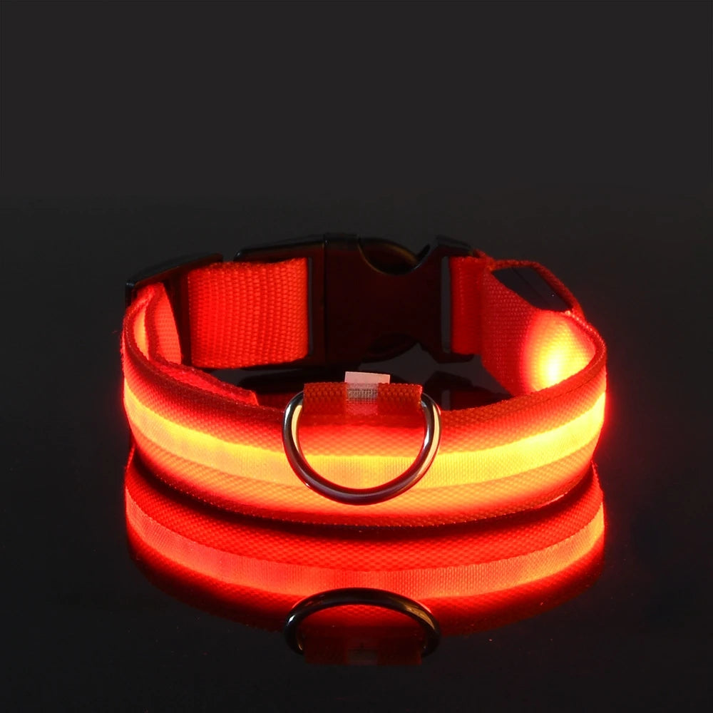 LED Glow-in-the-Dark Dog Leash – Reflective Nylon Safety Leash for Night Walks and Outdoor