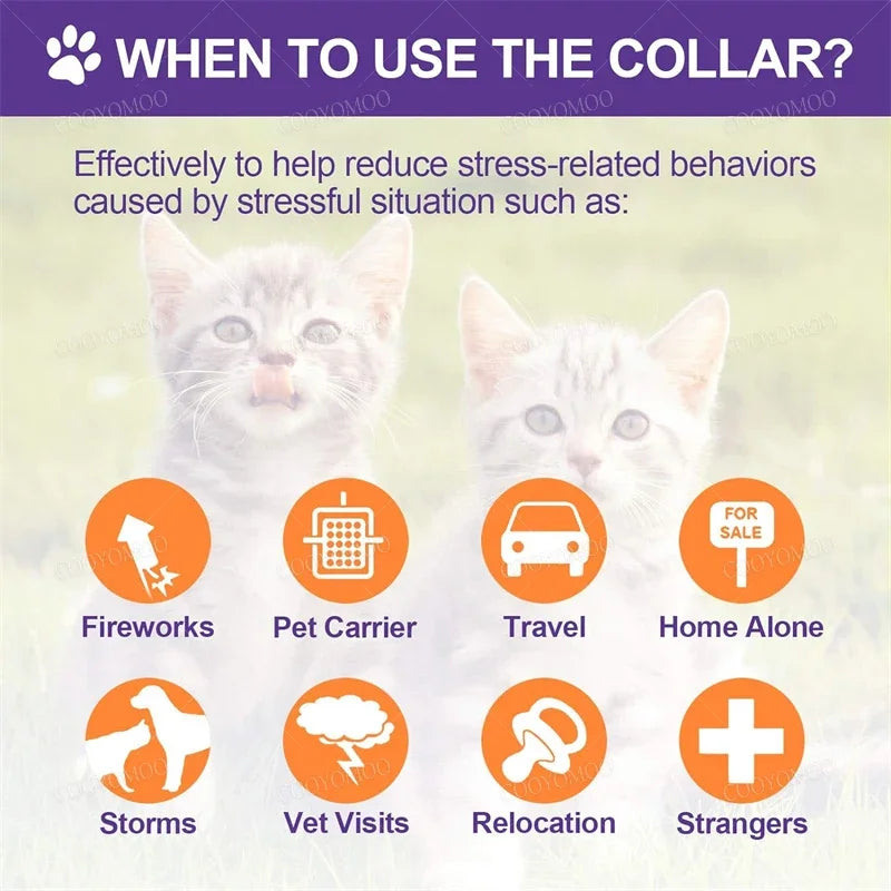 Calming Pheromone Pet Collar – Adjustable Anxiety Relief Collar for Dogs and Cats