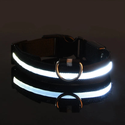 LED Glow-in-the-Dark Dog Leash – Reflective Nylon Safety Leash for Night Walks and Outdoor