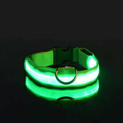LED Glow-in-the-Dark Dog Leash – Reflective Nylon Safety Leash for Night Walks and Outdoor
