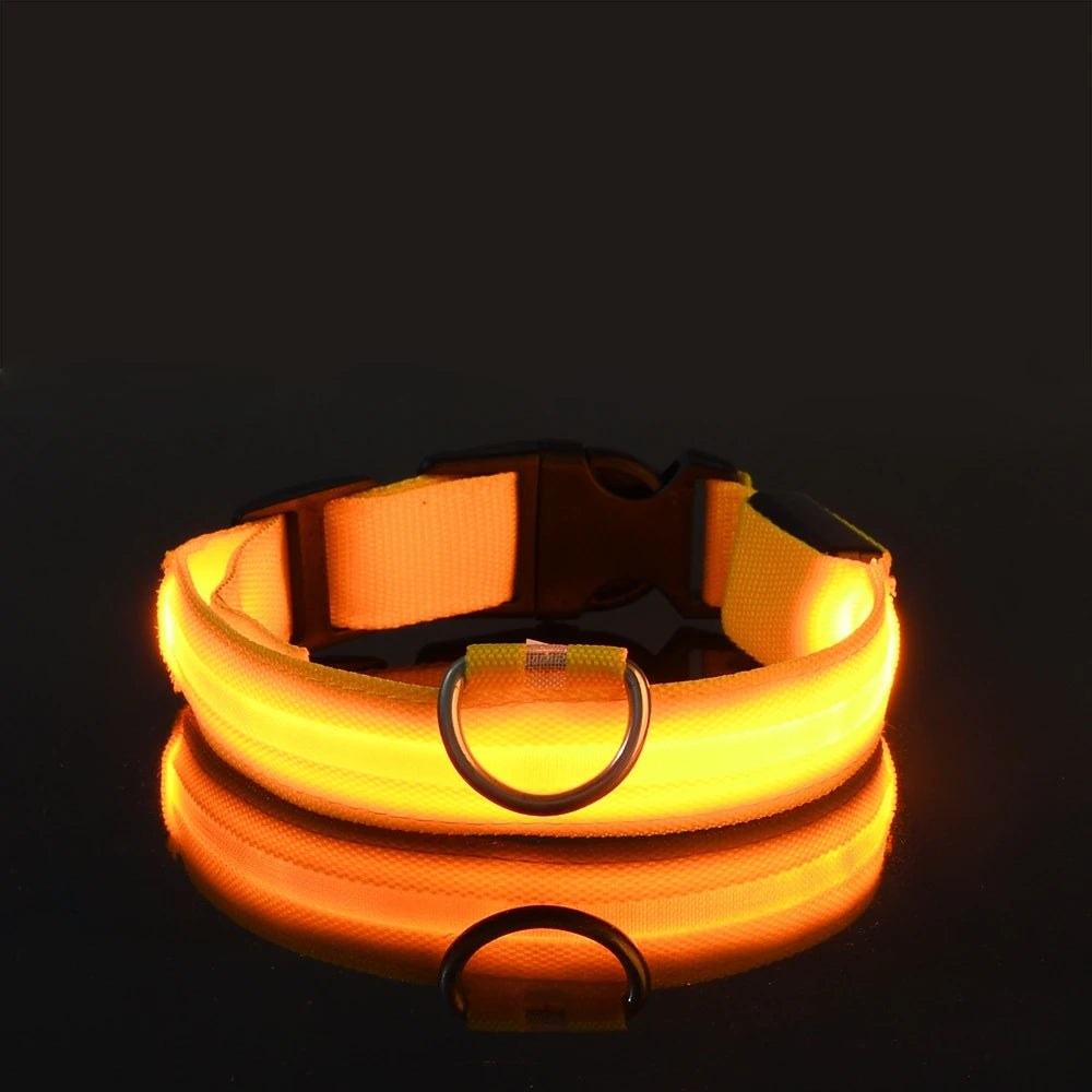 LED Glow-in-the-Dark Dog Leash – Reflective Nylon Safety Leash for Night Walks and Outdoor