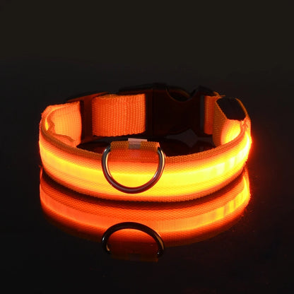 LED Glow-in-the-Dark Dog Leash – Reflective Nylon Safety Leash for Night Walks and Outdoor