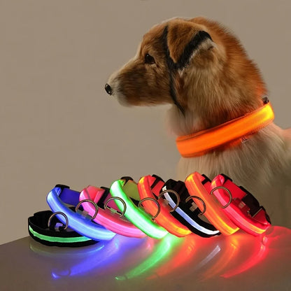 LED Glow-in-the-Dark Dog Leash – Reflective Nylon Safety Leash for Night Walks and Outdoor