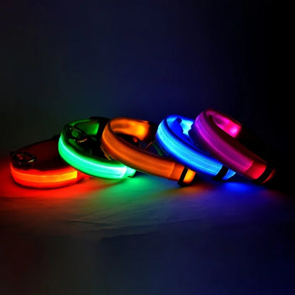 LED Glow-in-the-Dark Dog Leash – Reflective Nylon Safety Leash for Night Walks and Outdoor