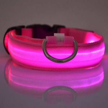 LED Glow-in-the-Dark Dog Leash – Reflective Nylon Safety Leash for Night Walks and Outdoor