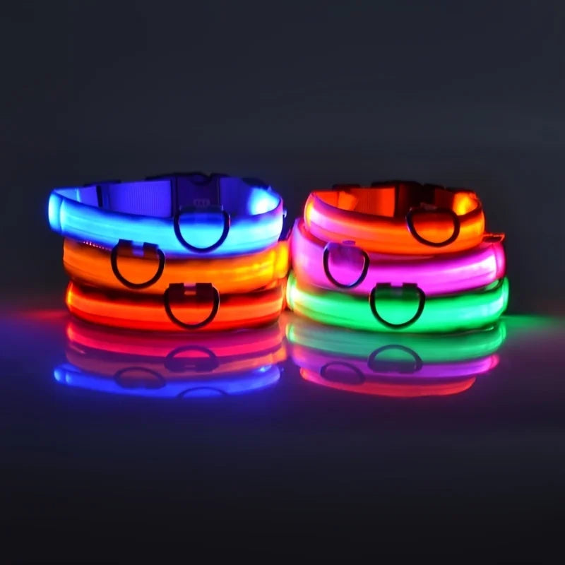 LED Glow-in-the-Dark Dog Leash – Reflective Nylon Safety Leash for Night Walks and Outdoor