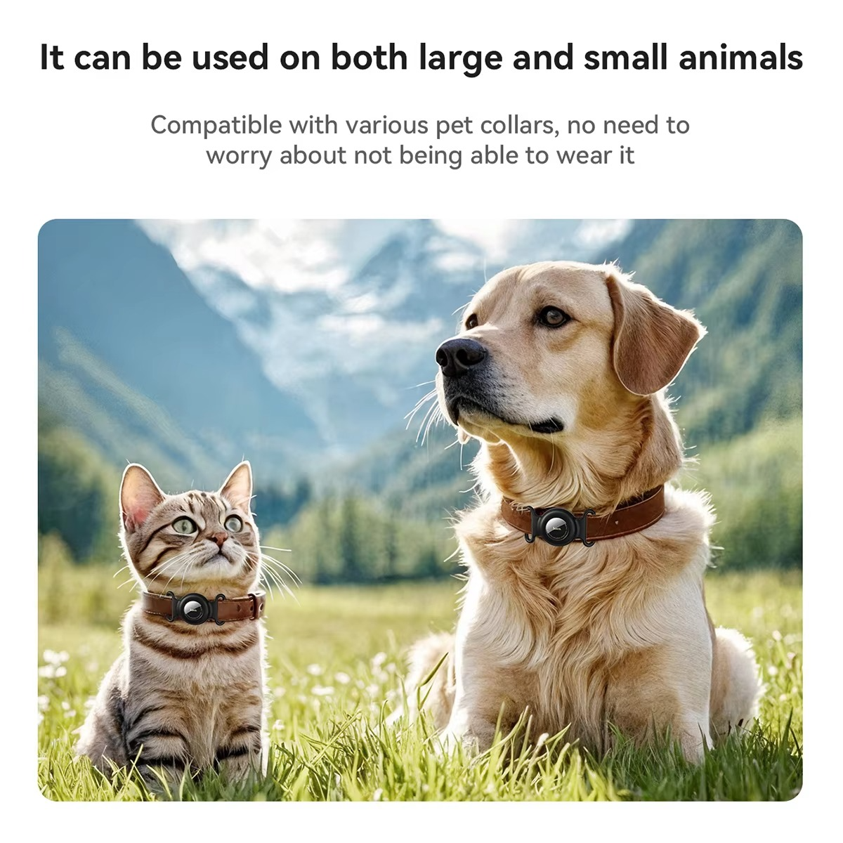 GPS Pet Tracker for Dogs & Cats – No Monthly Fee Smart Tracker Compatible with Apple Find My