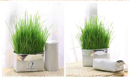 Organic Cat Grass Kit – Soilless Fresh Indoor Grass for Cats Digestive and Oral Health Support