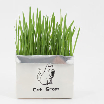 Organic Cat Grass Kit – Soilless Fresh Indoor Grass for Cats Digestive and Oral Health Support