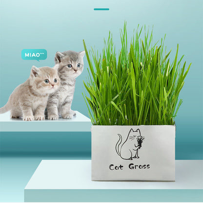 Organic Cat Grass Kit – Soilless Fresh Indoor Grass for Cats Digestive and Oral Health Support